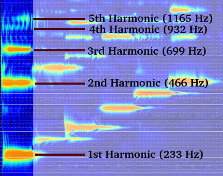 Harmonics of B♭ (log frequency scale)